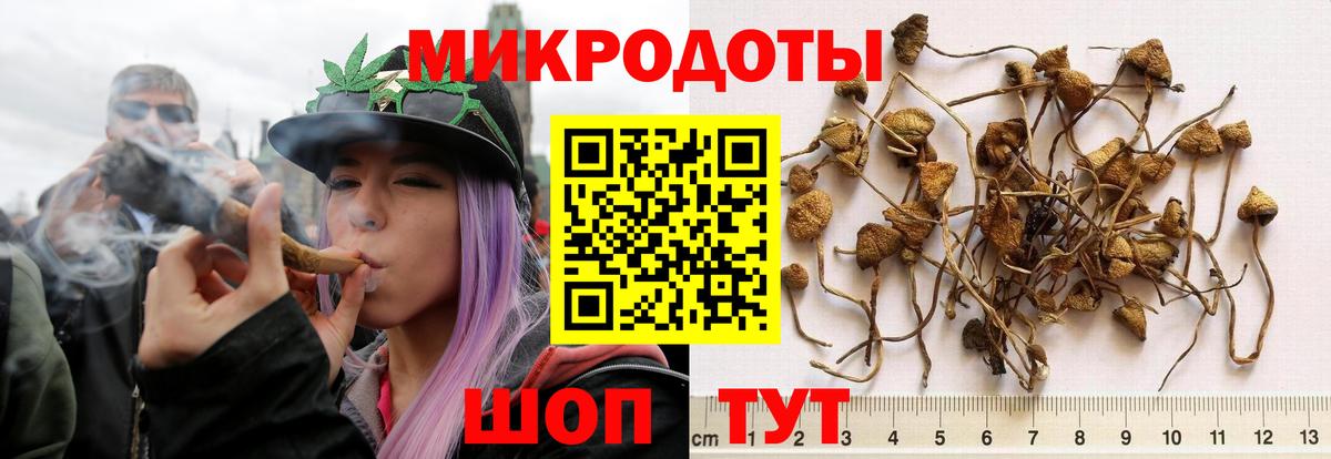 Галлюциногенные грибы MAGIC MUSHROOMS Выкса